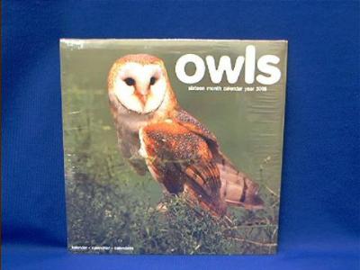 owls_2008.JPG