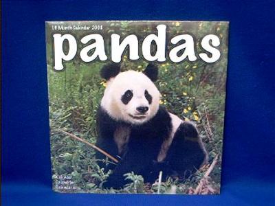 panda_2008.JPG