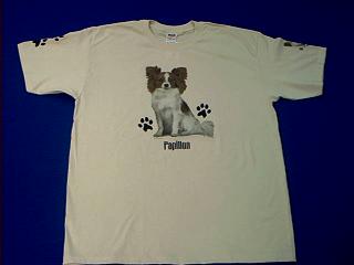 papillon_t-shirt_photo.JPG