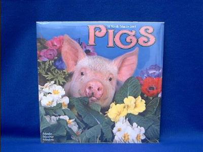 pigs_2008.JPG