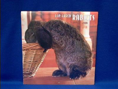 rabbit_lop_earred_2008.JPG