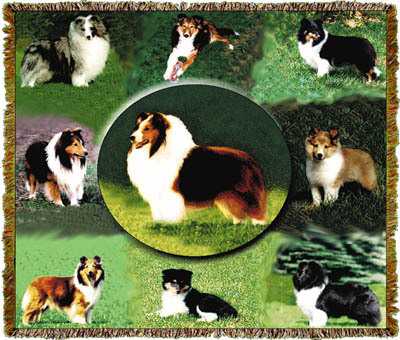sheltie blanket throw tapestry shetland sheepdog