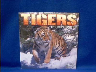 tigers_2008.JPG