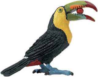 toucan toy bird