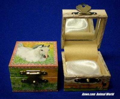 white horse jewelry box meadow