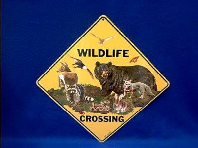 wildlife crossing sign