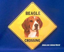 beagle crossing sign color