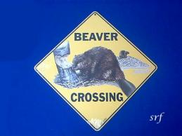 beaver crossing sign