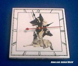 belgian malinois clock desk battery