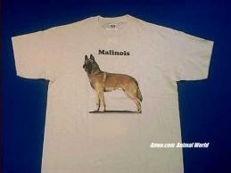 belgian malinois t shirt body