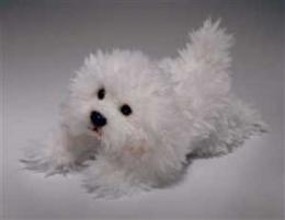 bichon frise stuffed animal plush classic small
