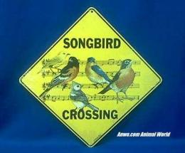 bird crossing sign songbird 