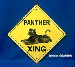 black panther crossing sign