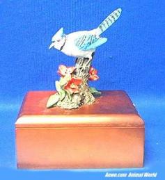 blue jay music jewelry box