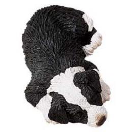 border_collie_sand_snzr.jpg