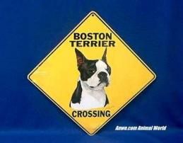 boston terrier crossing sign
