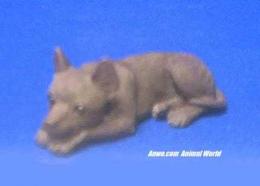 brown chihuahua figurine statue