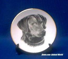 chesapeake bay retriever plate porcelain