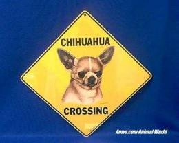 chihuahua crossing sign