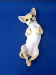 chihuahua_fig_sand_back_2.JPG