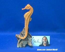 coral seahorse figurine statue by john perry