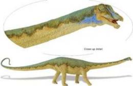 diplodocust-toy-safari-405401.jpg