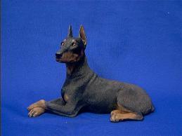 doberman_fig_sand_lying.JPG