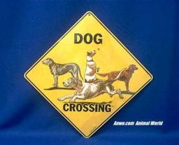 dog crossing sign collage