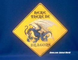 dragon crosssing sign