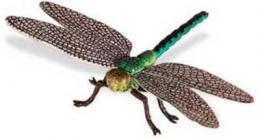 dragonfly toy safari