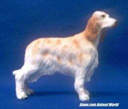 english-setter-figrurine-orange.JPG