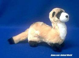 Ferret Plush