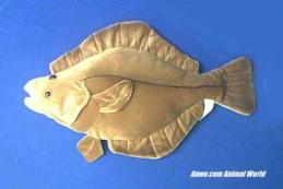 giant flounder stuffed animal