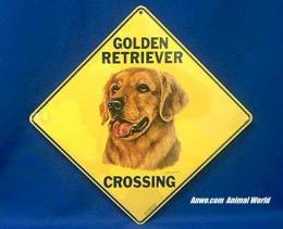 golden retriever crossing sign color