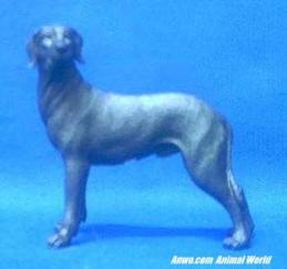 great-dane-black-figurine-uc.JPG