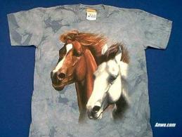 horses shirt pair