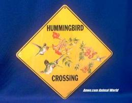 hummingbird crossing sign