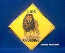 lion crossing sign