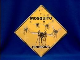 mosquito crossing sign
