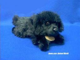 small newfoundland plush stuffed animal classic
