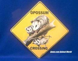 opossum crossing sign color