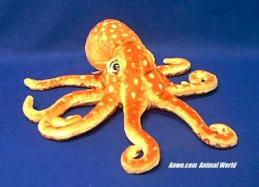 orange octopus plush stuffed animal