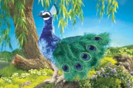 peacock puppet