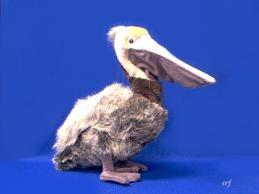 pelican plush stuffed animal realistic