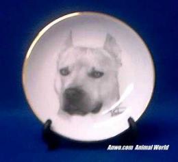 pit bull plate porcelain staffordshire