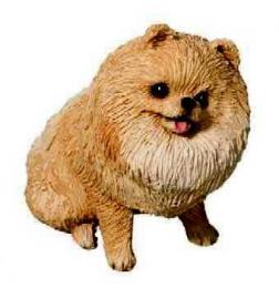 pomeranian figurine sandicast ss12001