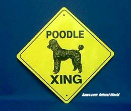 poodle crossing sign warning