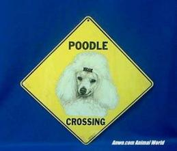 poodle crossing sign