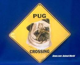 pug crossing sign