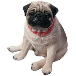 pug-life-size-figurine-sandicast-ls127.jpg
